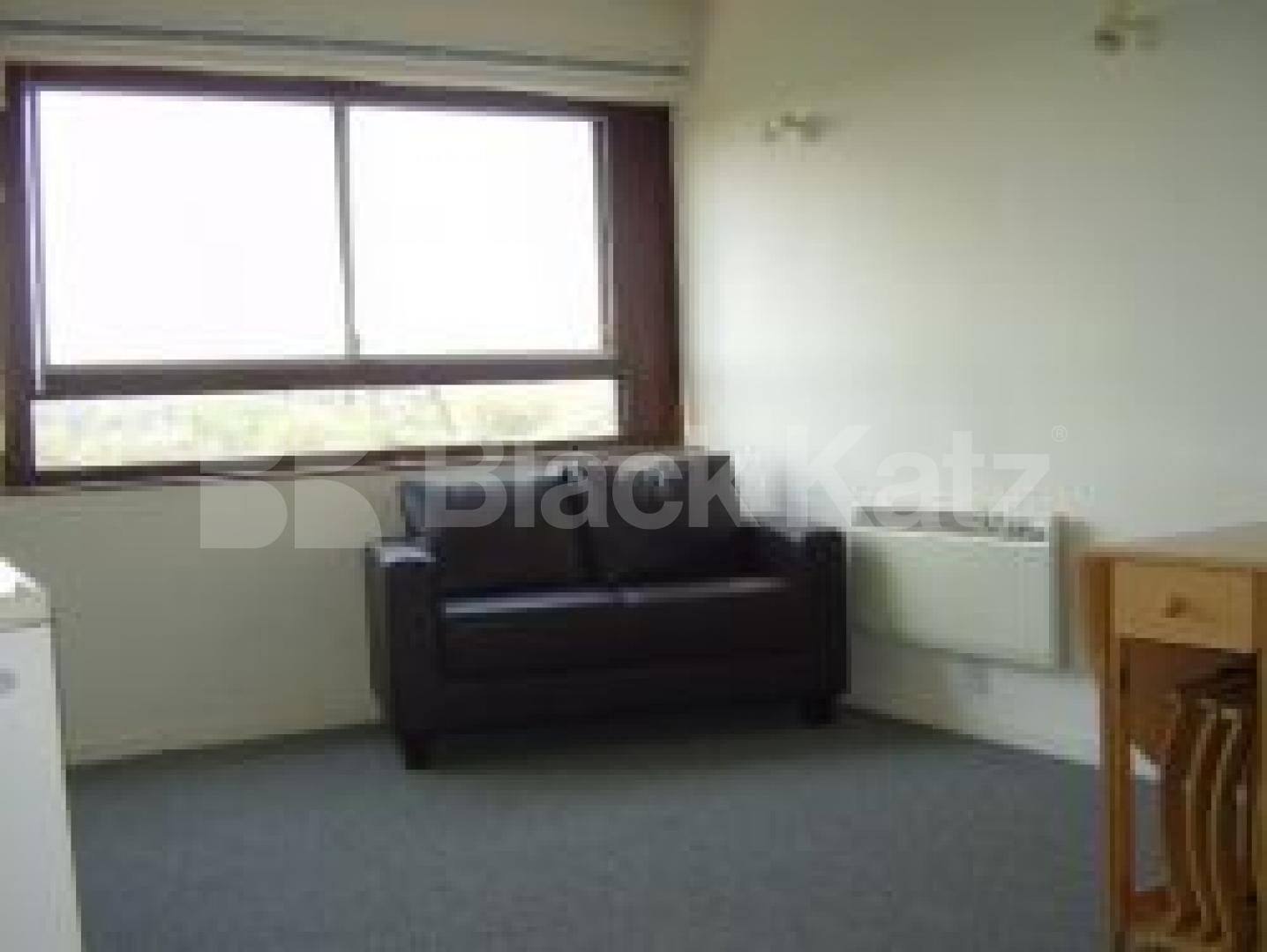 			Studio Apartment, 1 bath, 1 reception Flat			 Seven Sisters Road, FINSBURY PARK N4